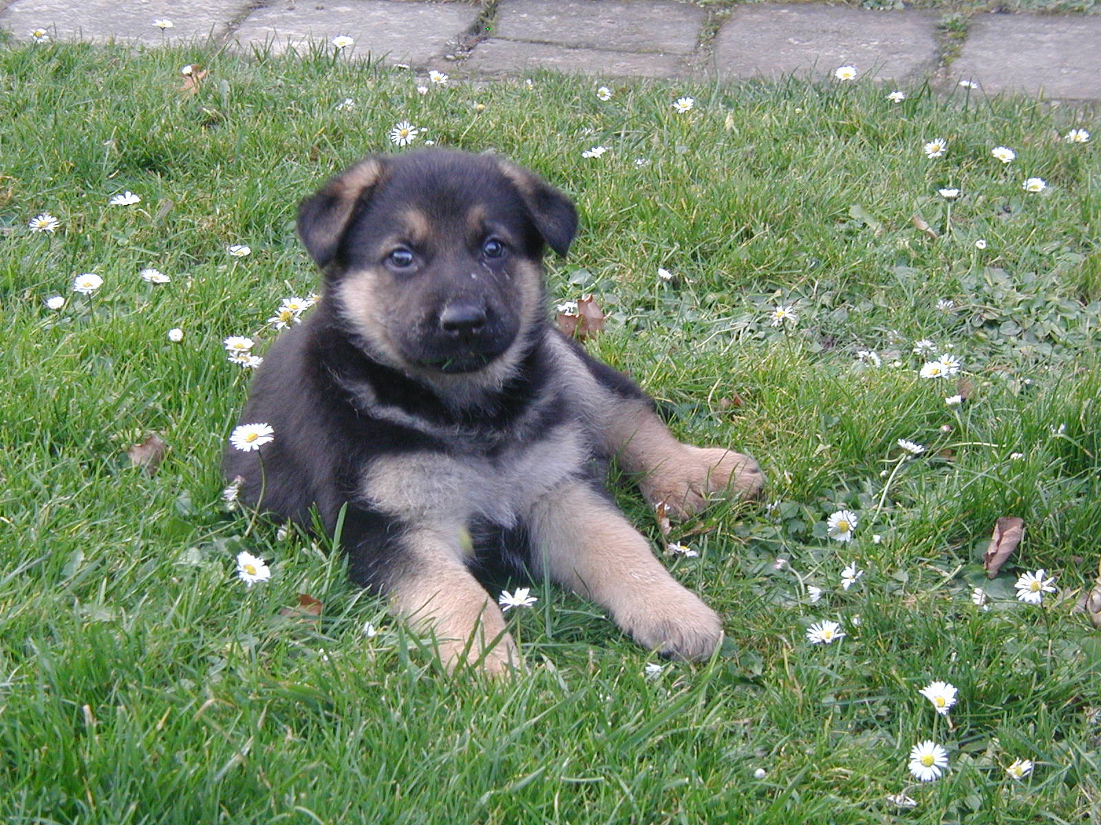 Argo 25.-26.11.06 072